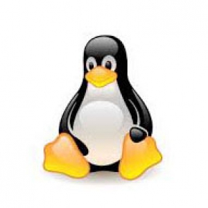 Linux